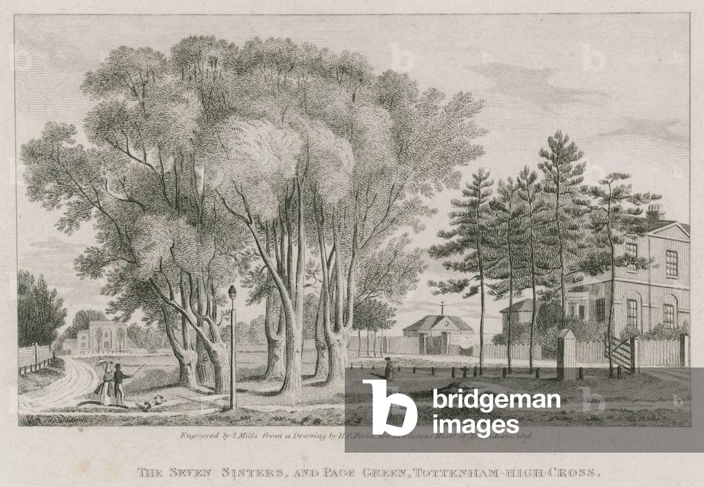 The Seven Sisters and Page Green, Tottenham High-Cross, London (engraving)