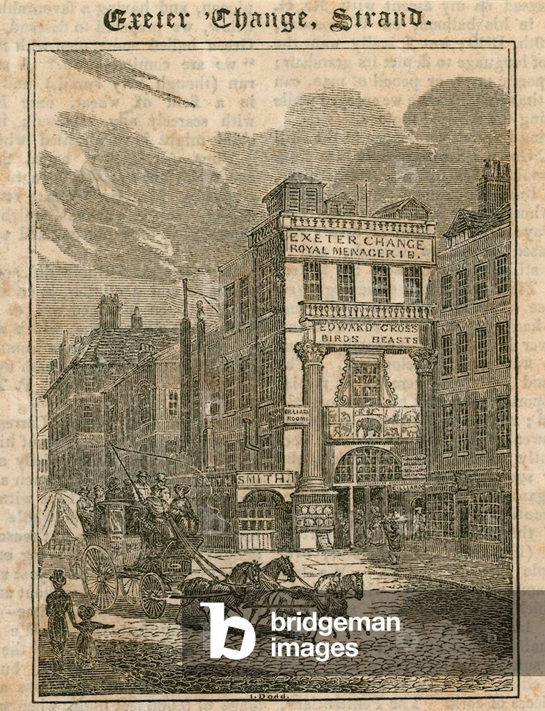 Exeter Change, The Strand, London (engraving)