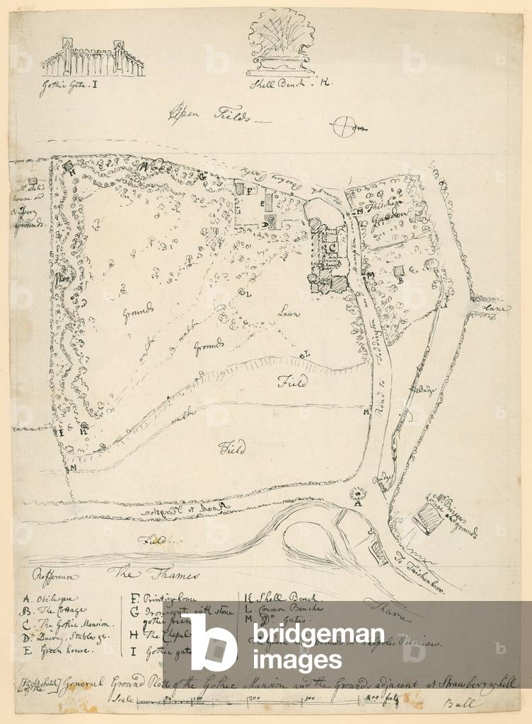 General ground plan of the gothic mansion and the grounds adjacent at Strawberry Hill, Twickenham, London (engraving)
