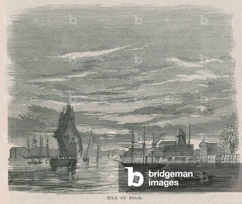 Isle of Dogs (engraving)