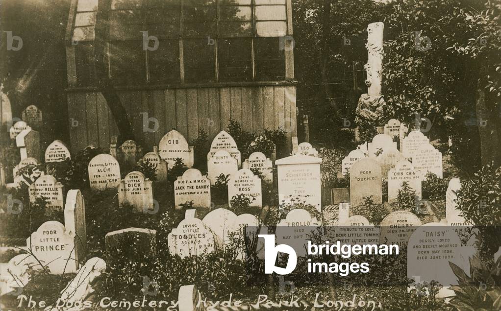 The Dogs Cemetery, Hyde Park, London (photo)