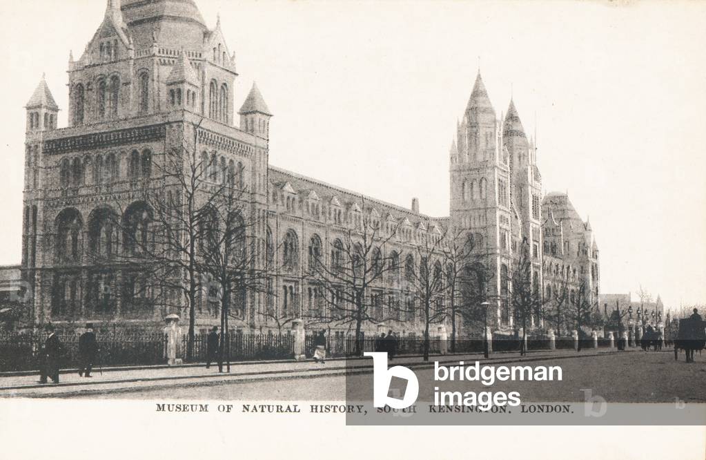 Museum of Natural History in South Kensington (b/w photo)