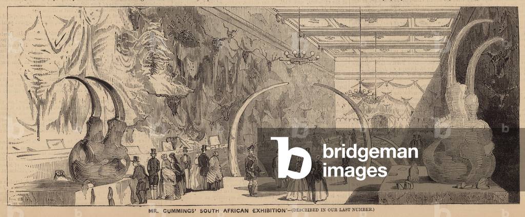 Mr Cummings' South African Exhibition (engraving)