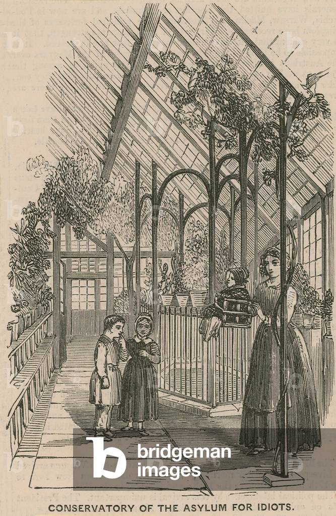 Conservatory of the Asylum for Idiots (engraving)