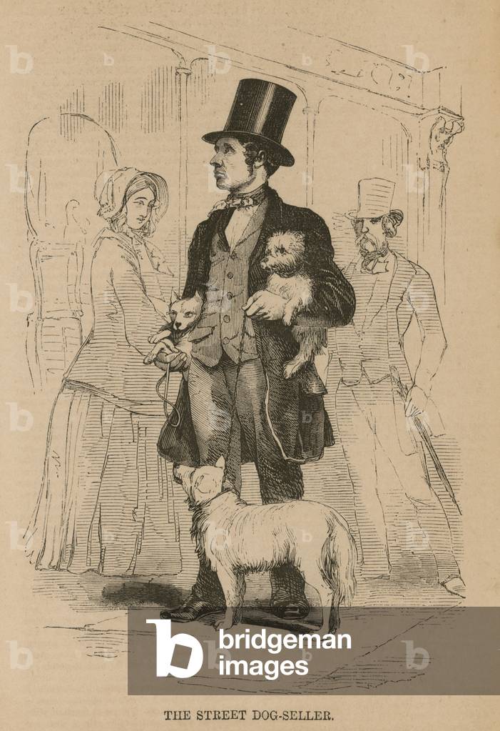The street dog-seller (engraving)
