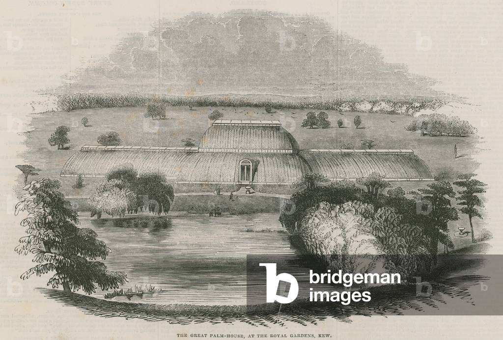 The great Palm House at the Royal Gardens, Kew, London (engraving)