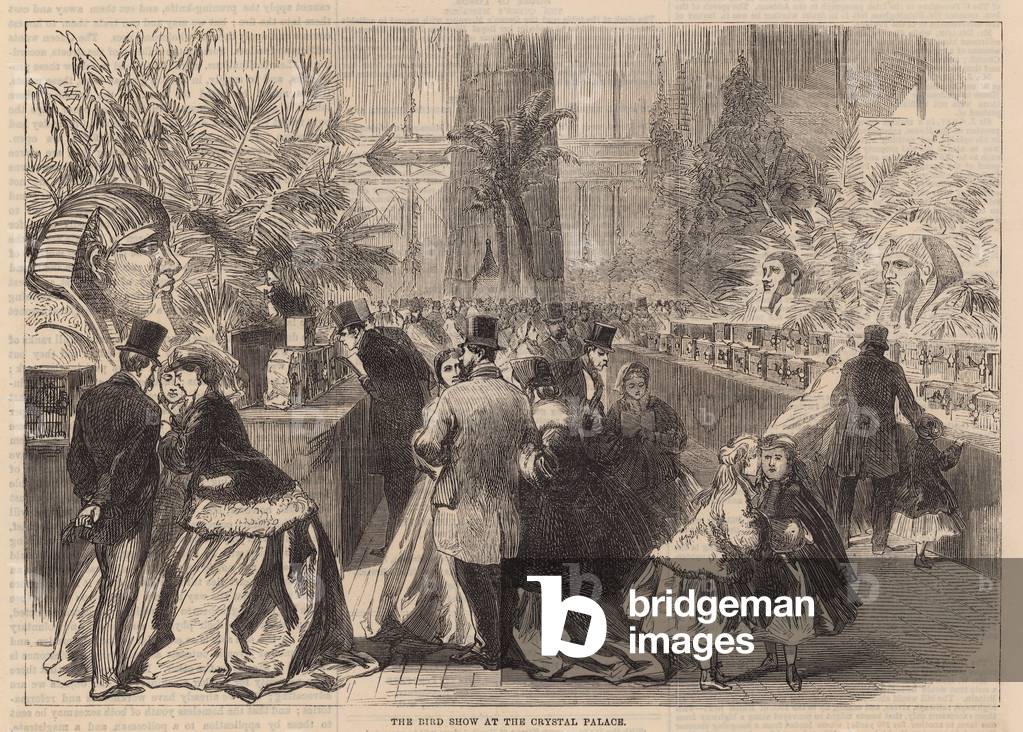 The Bird Show at the Crystal Palace (engraving)