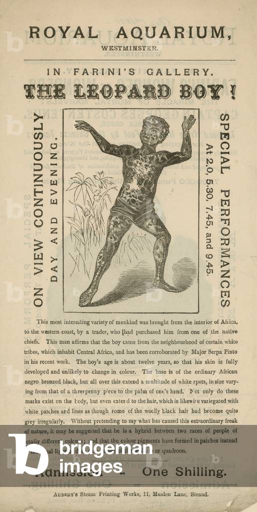 Advertisement for The Leopard Boy (engraving)