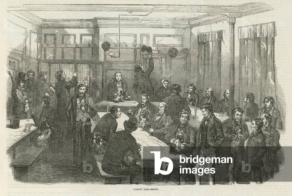 Fancy dog show in Denmark Street (engraving)