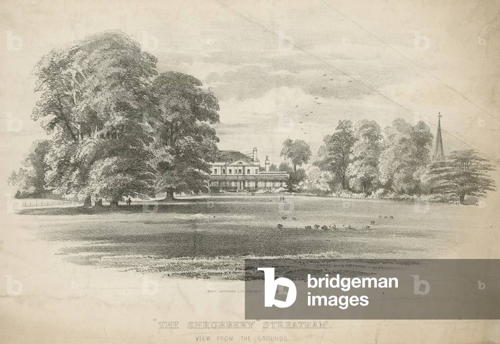 View from the grounds of The Shrubbery (engraving)