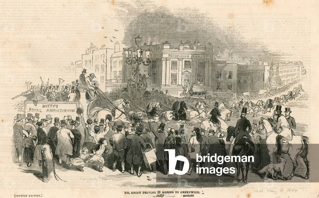 Mr Emidy driving twenty-eight horses from London to Greenwich (engraving)