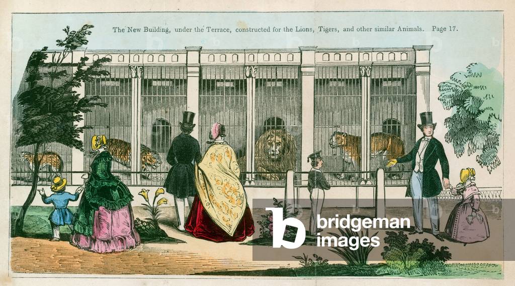The new building, under the terrace, constructed for the lions, tigers and other similar animals (coloured engraving)