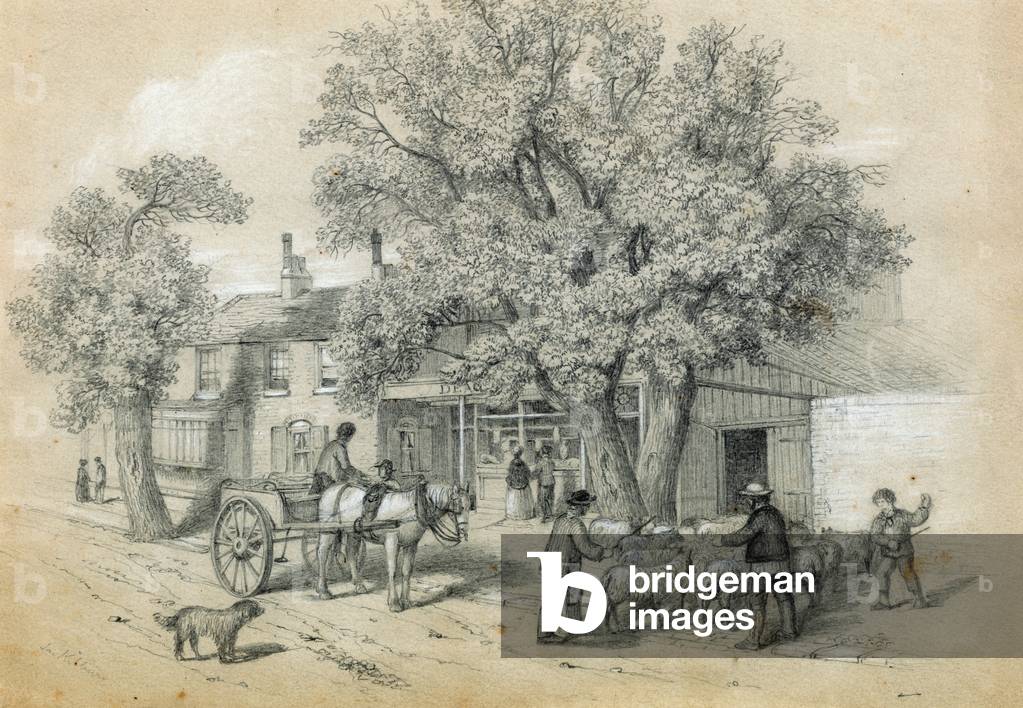 Deacon's Shop, Butcher,  Kilburn, opposite Paddock Villias, near the Brewery (pencil on paper)