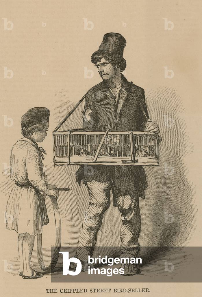 The crippled street bird-seller (engraving)