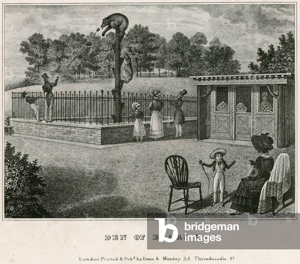 Bear Pit, London Zoological Gardens, Regent's Park (engraving)