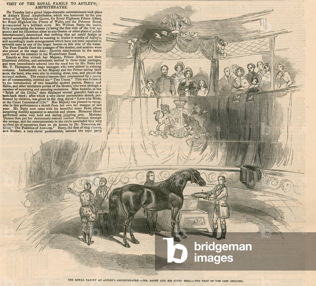 The Royal Family at Astley's Amphitheatre, London - Mr Batty and his steed Beda (engraving)