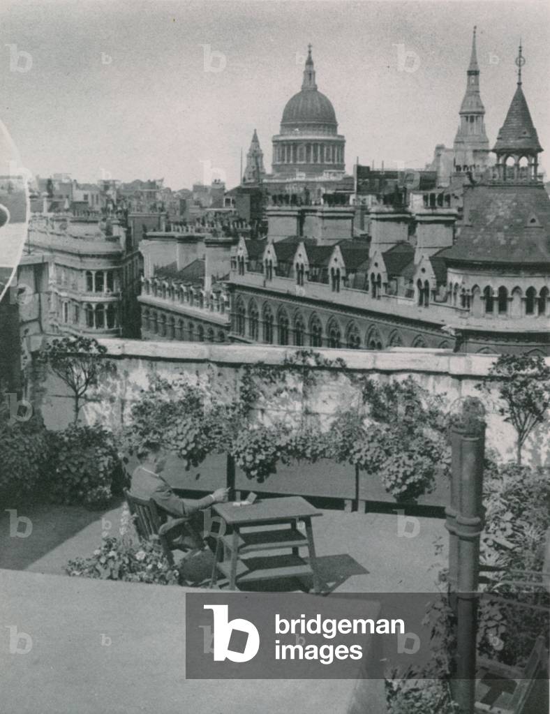 A corner of the flower garden on the Mansion House roof (photo)