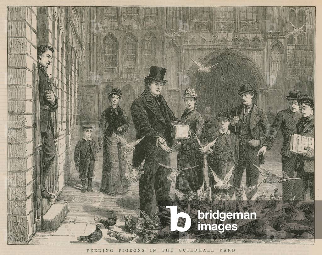 Feeding pigeons in the Guildhall yard (engraving)