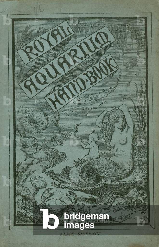 Cover of the Royal Aquarium Handbook (engraving)