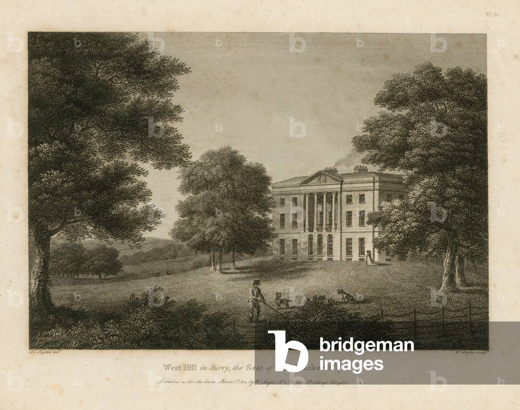 West Hill in Surrey, the Seat of D H Rucker (engraving)