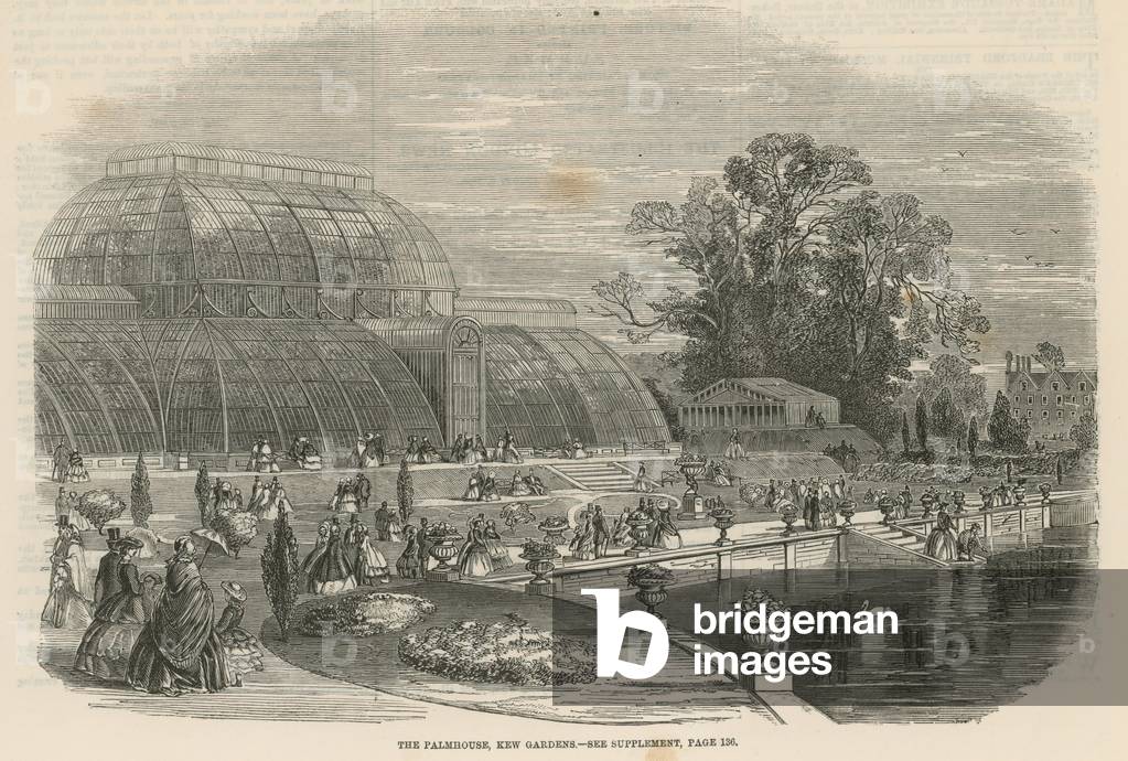 The Palm House, Kew Gardens, London (engraving)