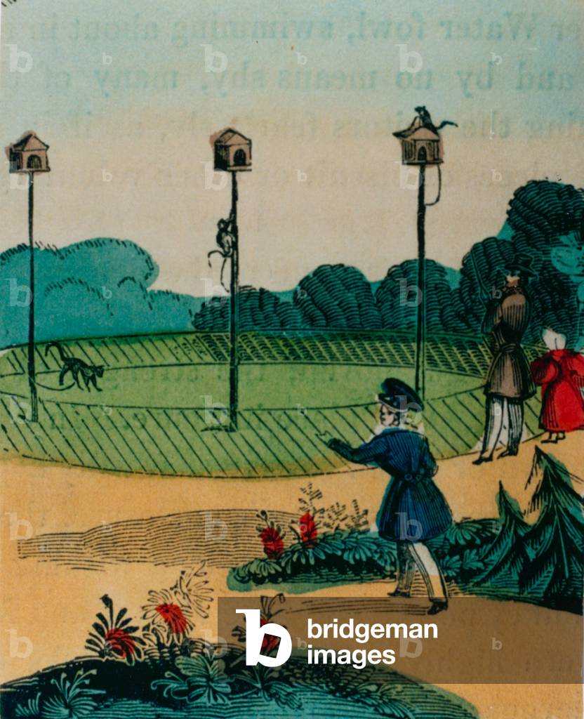 Poles to which monkeys were chained in summer like monkeys on a stick toy.  1840s (coloured engraving)