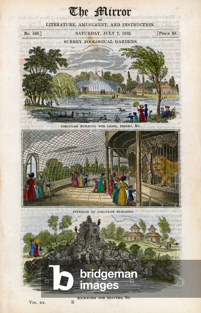 Surrey zoological gardens (coloured engraving)