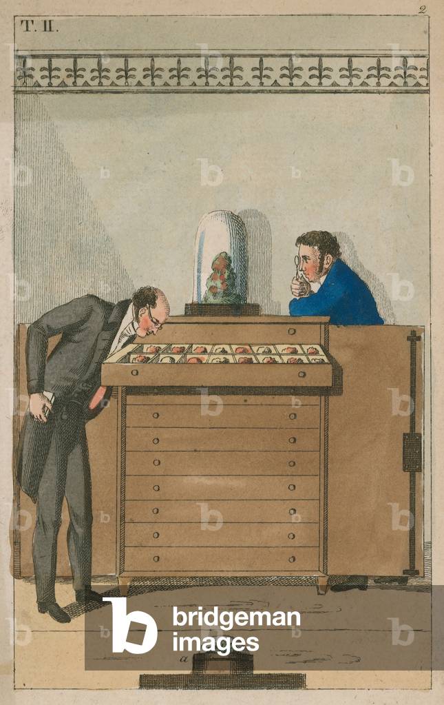 Visiting a museum (coloured engraving)