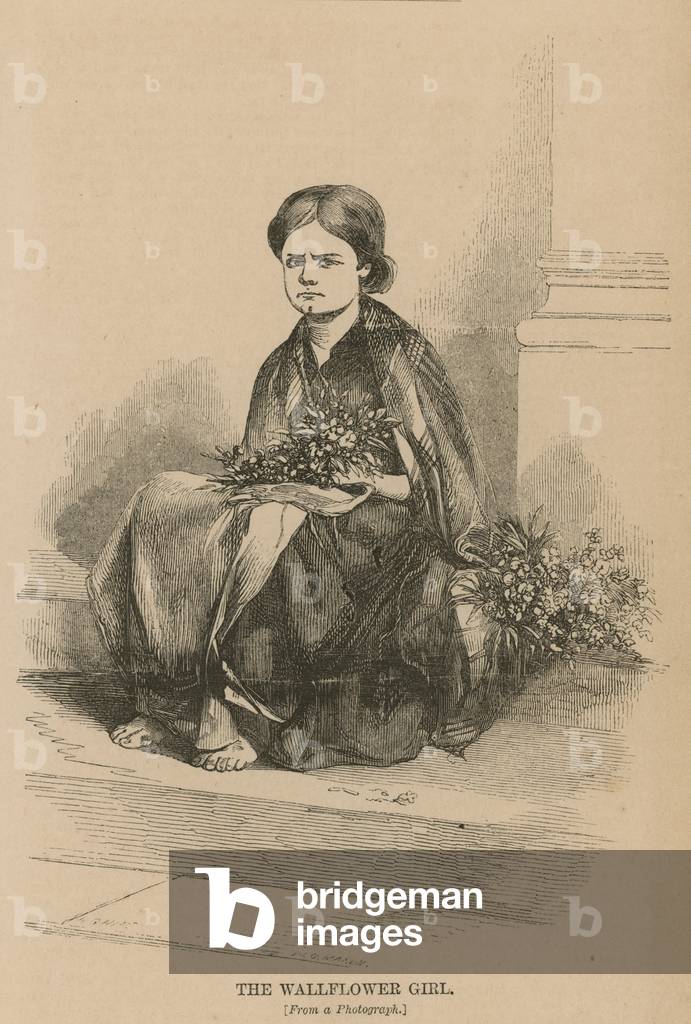 The wallflower girl (engraving)