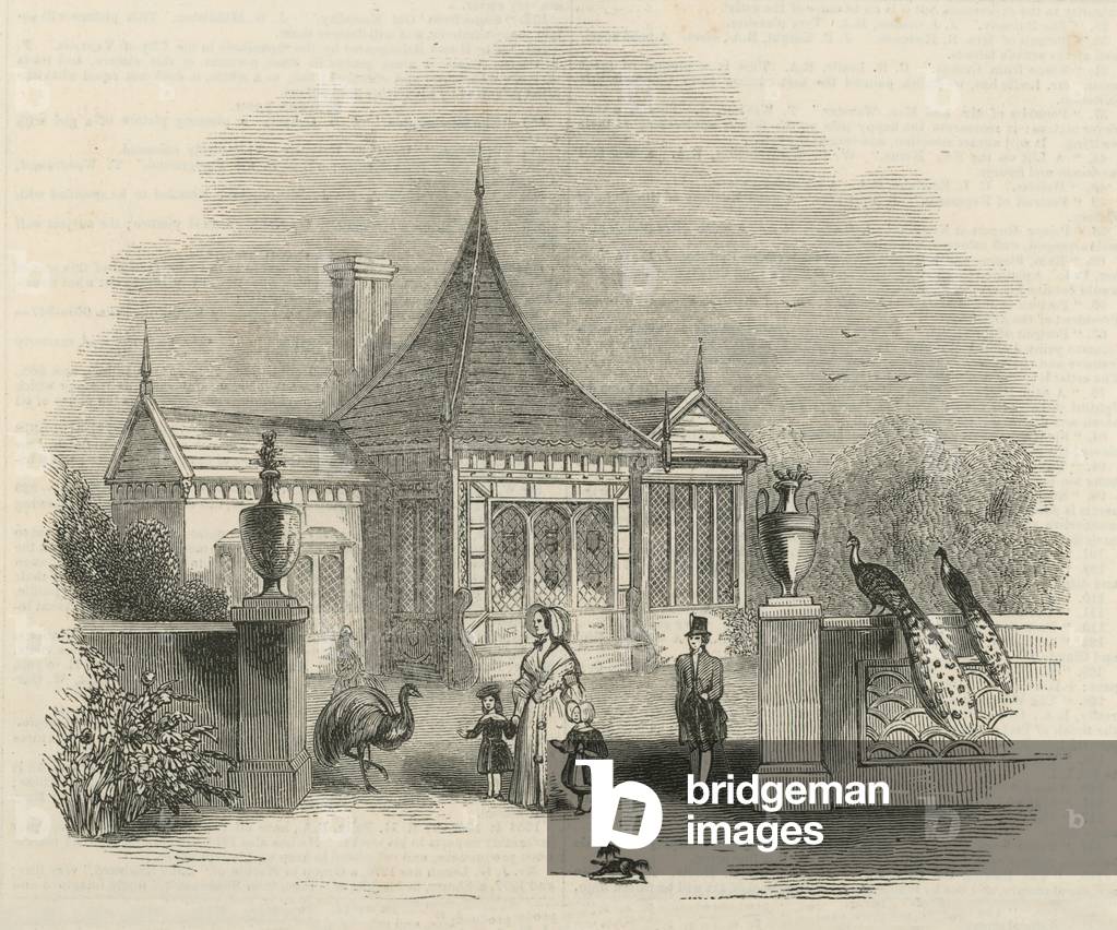 In the grounds of Buckingham Palace (engraving)