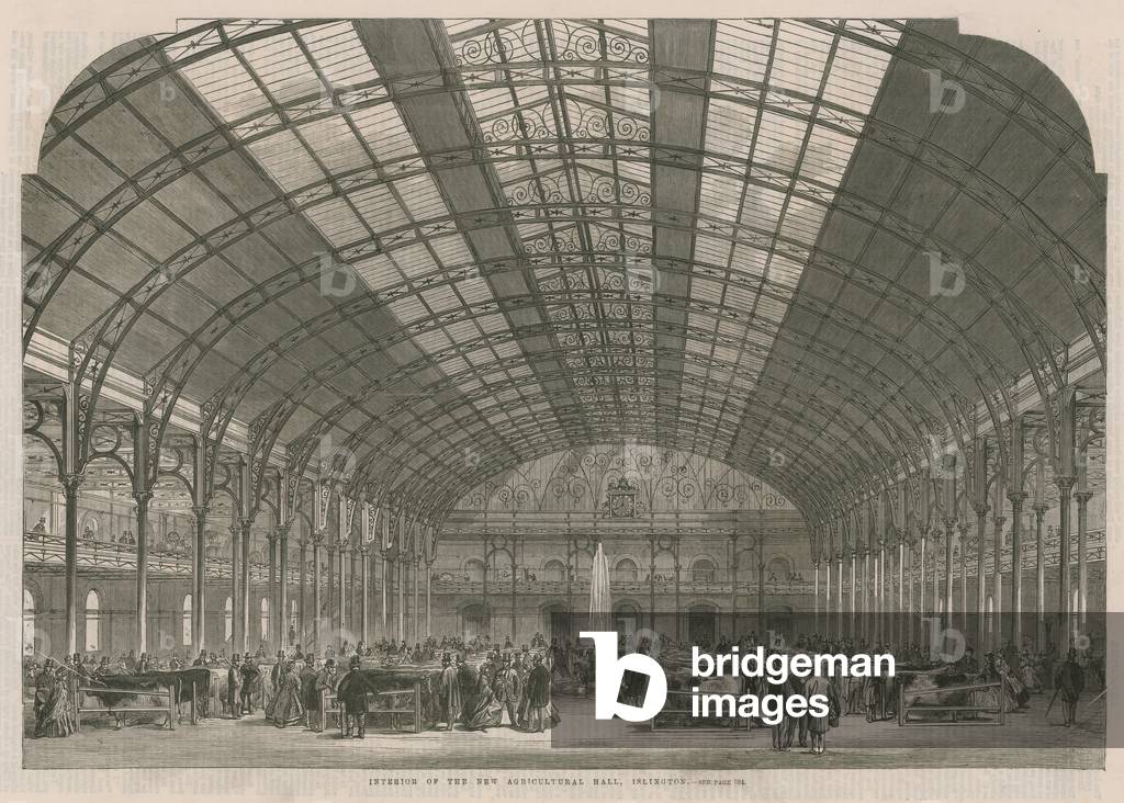 Interior of the new Agricultural Hall (engraving)