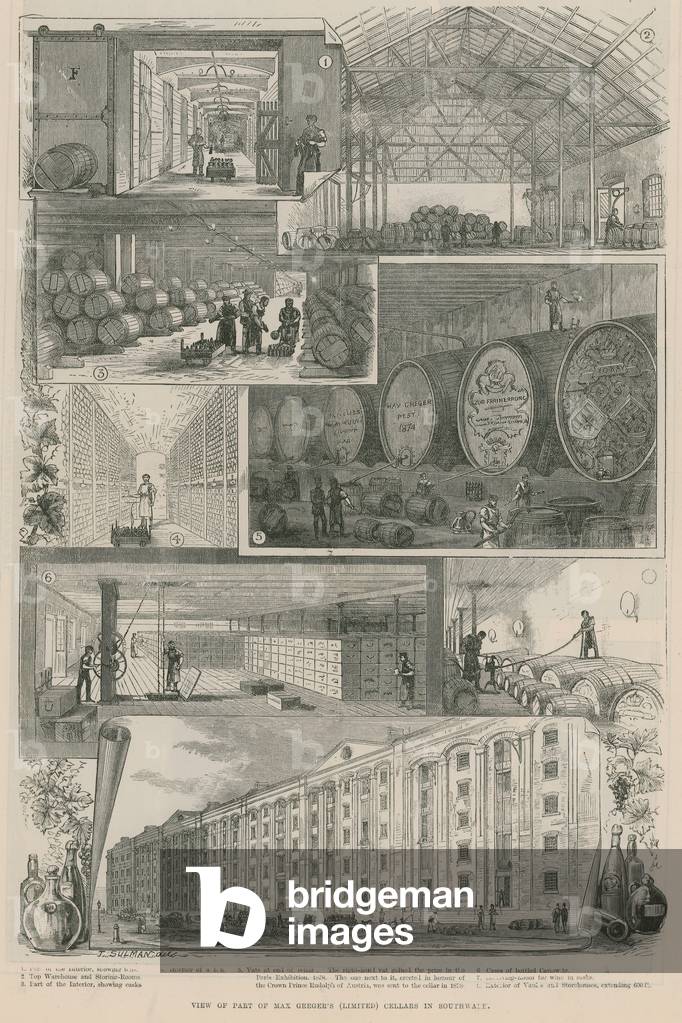 View of part of Max Greger's (Limited) cellars in Southwark (engraving)