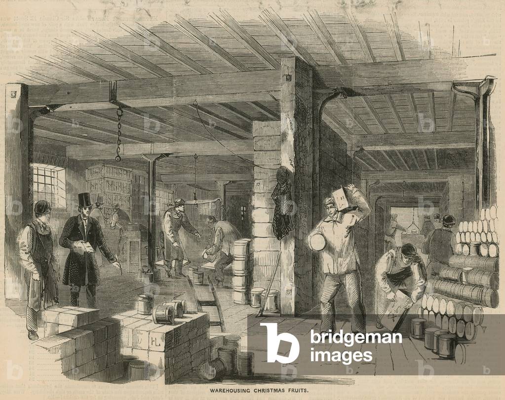 Warehousing Christmas fruits (engraving)