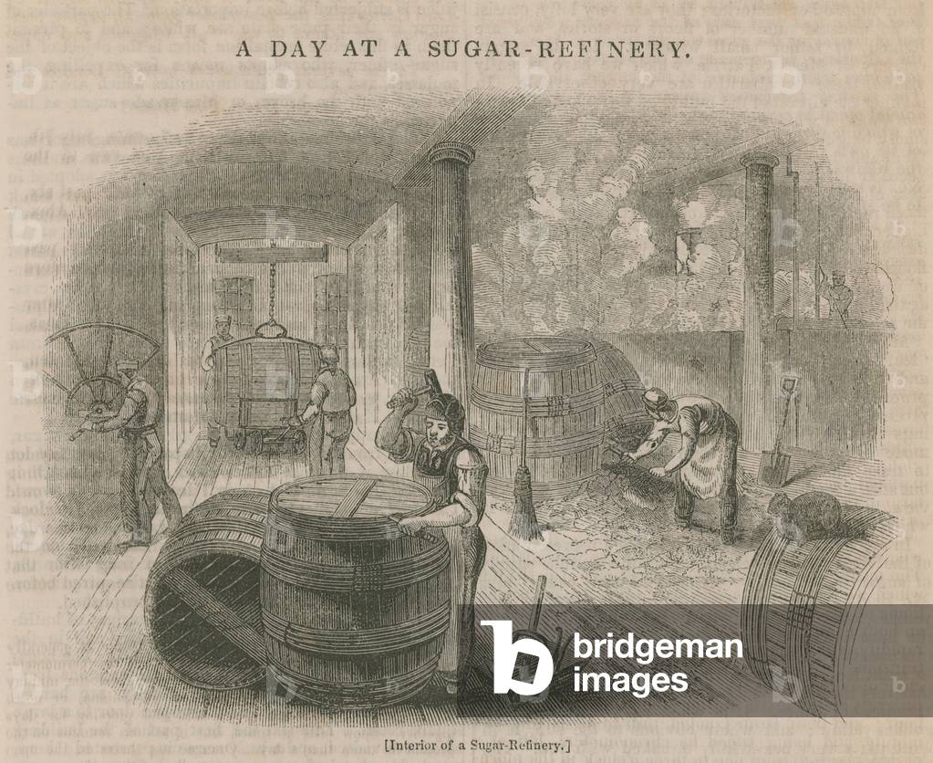A day at a sugar refinery (engraving)