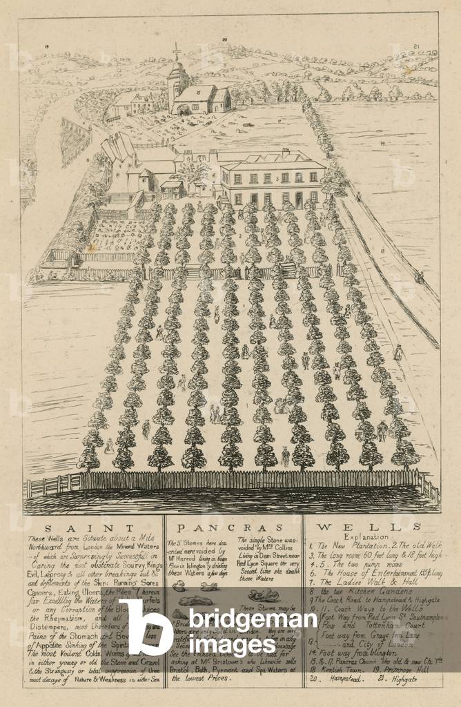 Aerial view of St Pancras Wells (engraving)