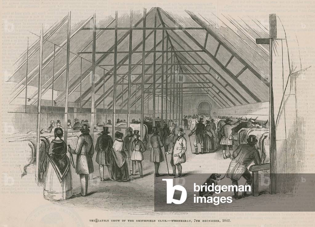 The Cattle Show of the Smithfield Club (engraving)