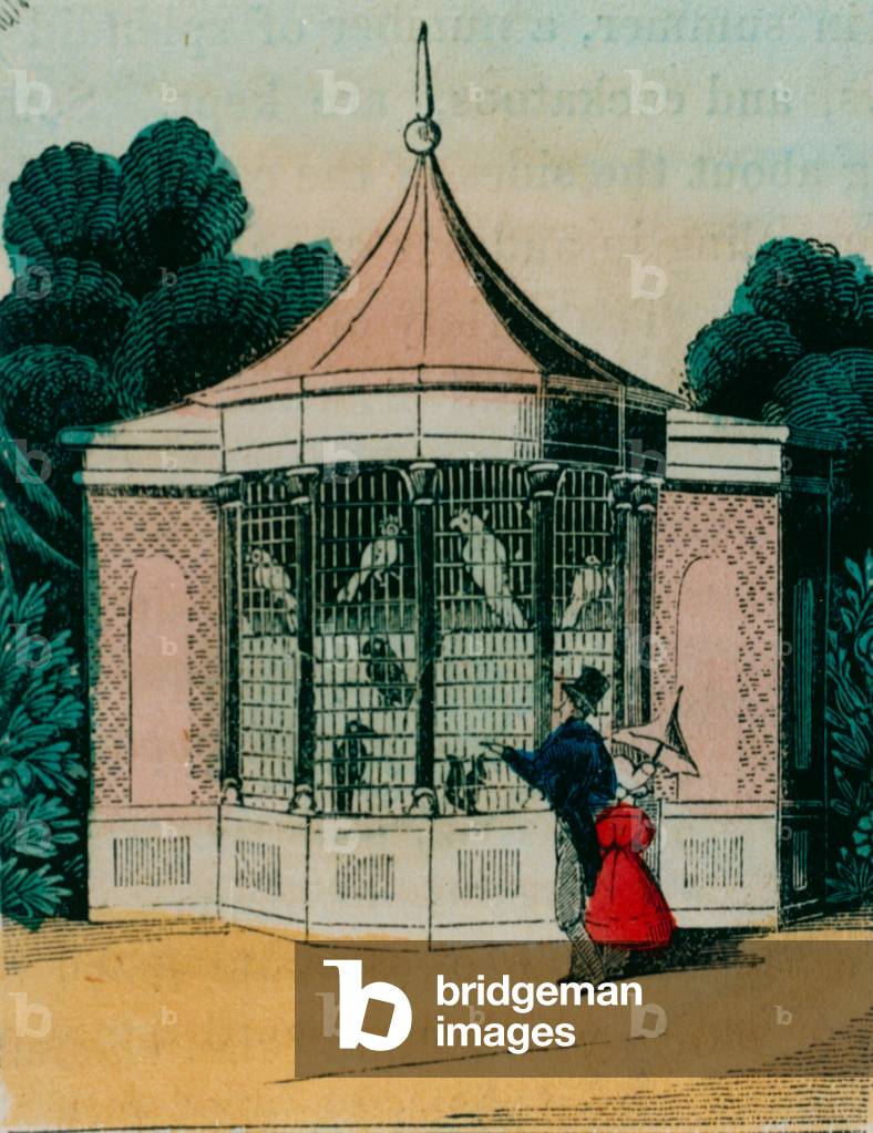 Aviary for parrots and cockatoos at the London zoo. 1840s (coloured engraving)