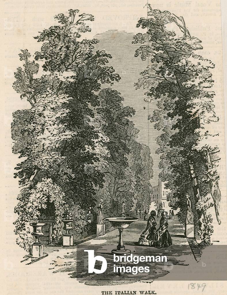 Vauxhall Gardens, London: The Italian walk (engraving)