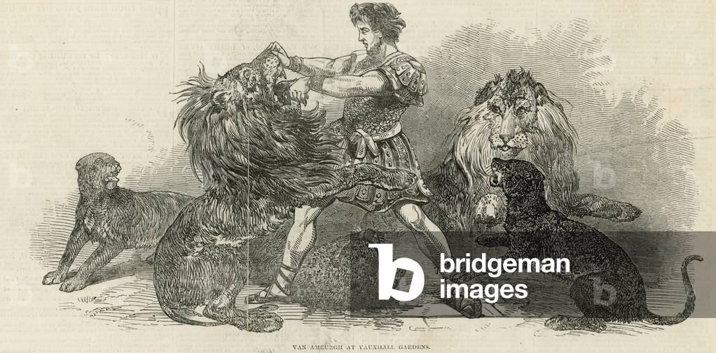 Isaac van Amburgh at Vauxhall Gardens (engraving)
