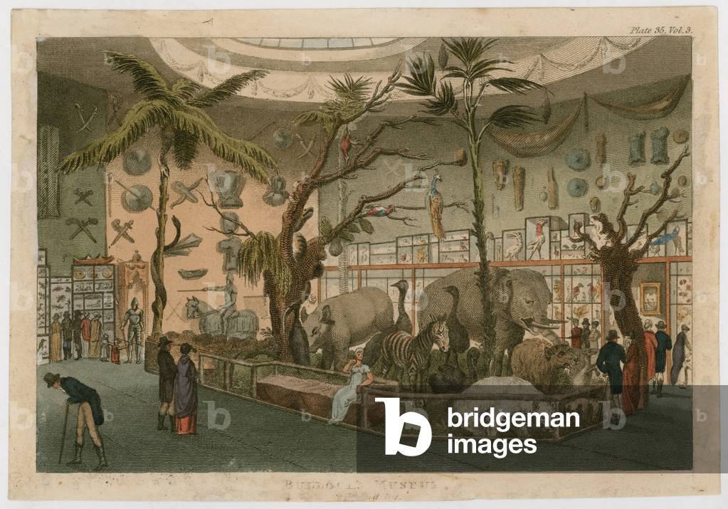 Bullock's Museum (coloured engraving)