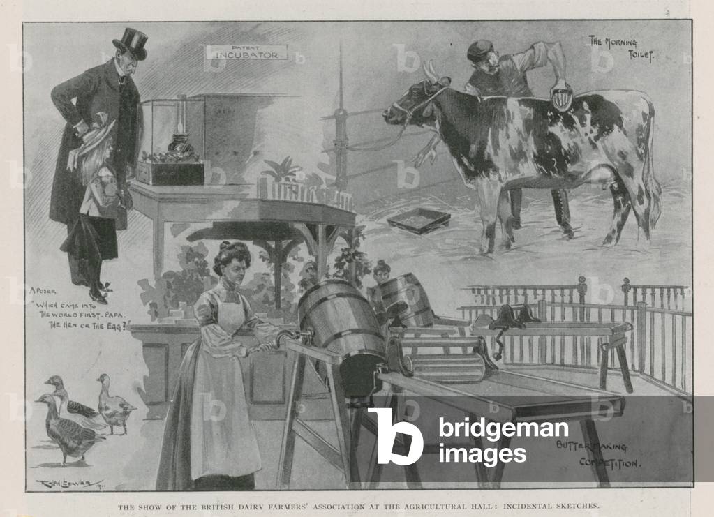 The show of the British Dairy Farmers'Association at the Agricultural Hall (engraving)