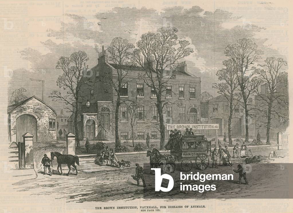 The Brown Institution, Vauxhall, for diseases of animals (engraving)