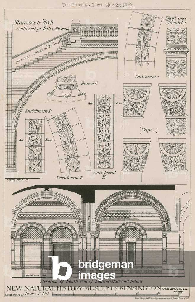 Staircase and Arch and elevation of south wall of the entrance hall of the new Natural History Museum, South Kensington (engraving)