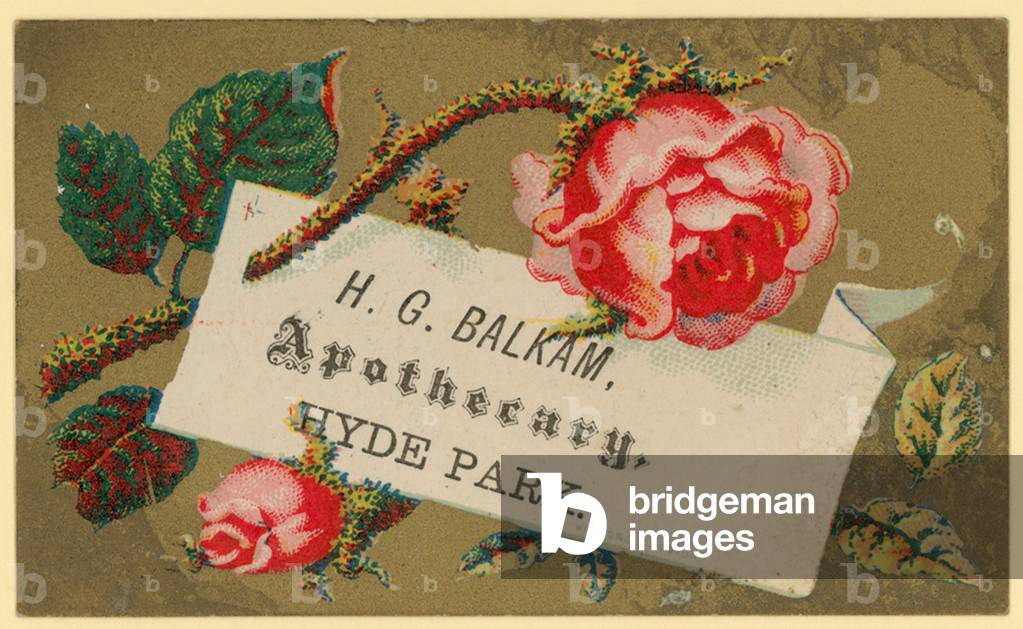 Business card for H G Balkam, Apothecary, Hyde Park (chromo)