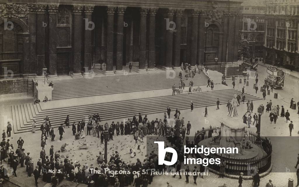 Pigeons, St Paul's Cathedral (b/w photo)
