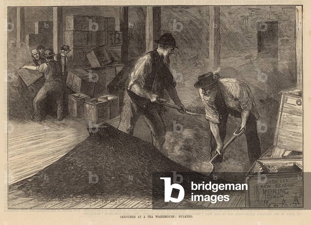 Sketches at a tea warehouse: bulking (engraving)