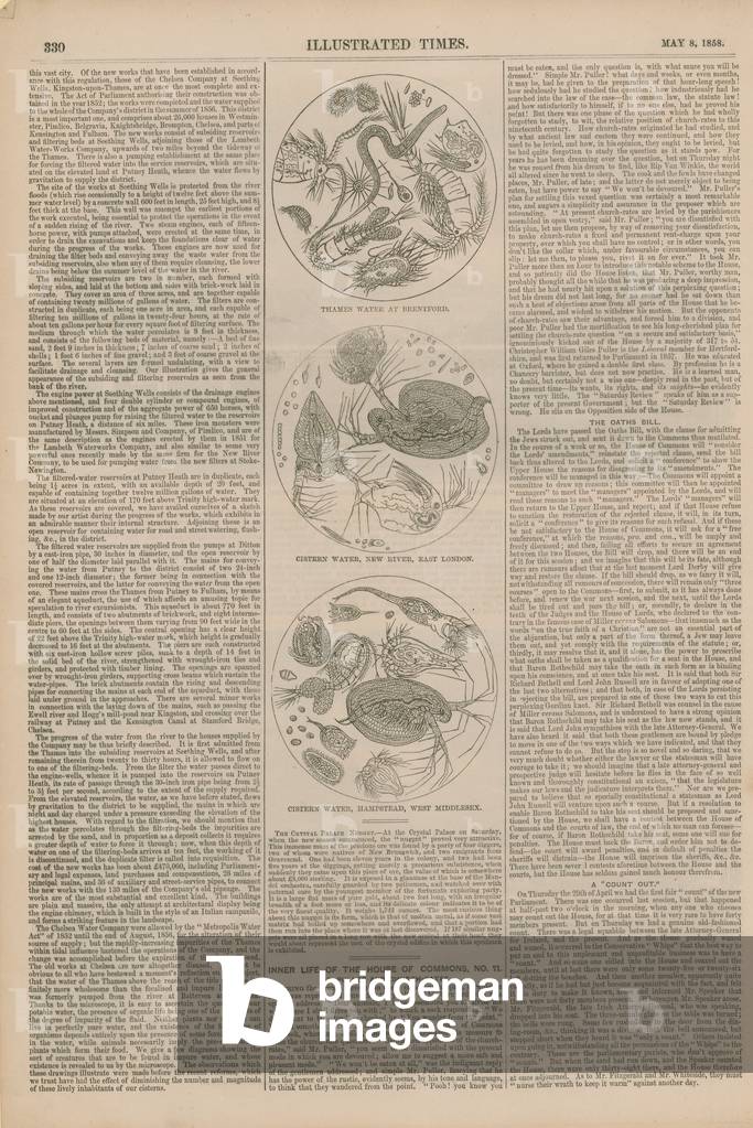 Microscopic images of water (engraving)