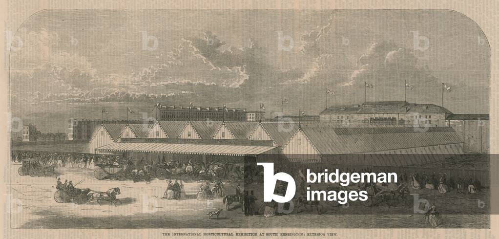 The International Horticultural Exhibition at South Kensington (engraving)