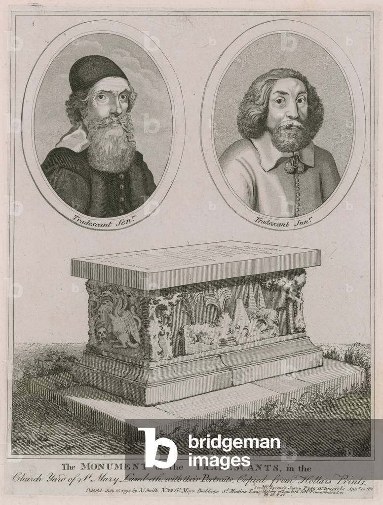 The monument of the Tradescants in the church yard of St Mary, Lambeth (engraving)