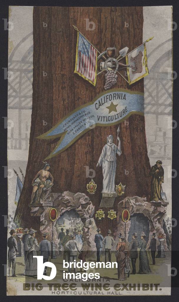 California Big Tree Wine Exhibit (colour litho)